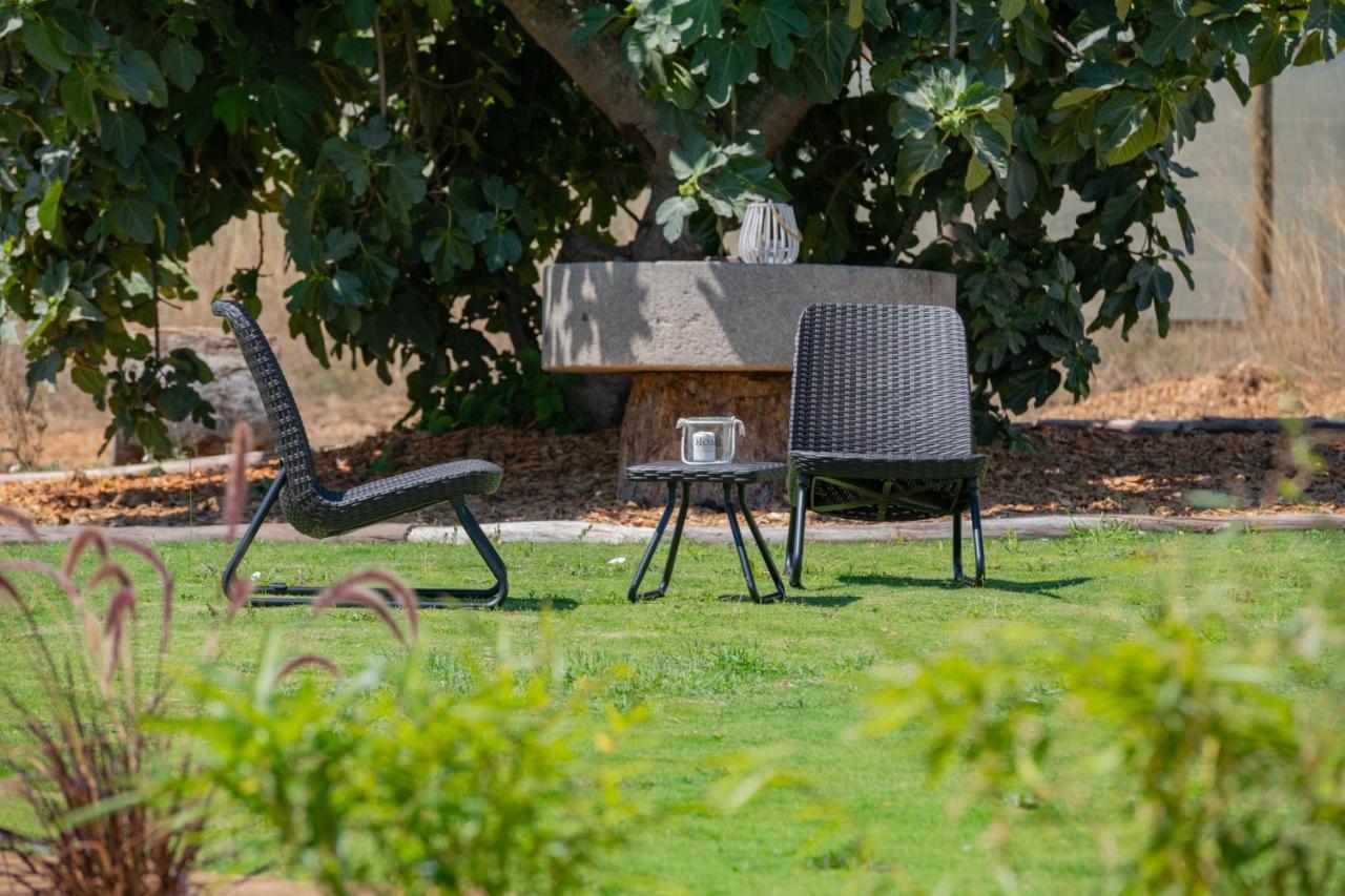 Casas Da Bica - Turismo Espaco Rural Cercal do Alentejo Екстер'єр фото
